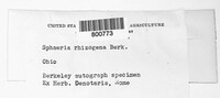 Image Associated With the Occurence